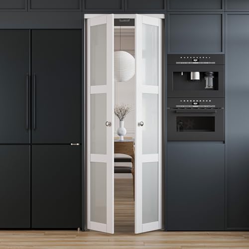 WIN STELLAR French Pivot Swing Door