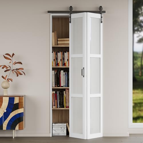 WIN STELLAR Bifold Barn Door